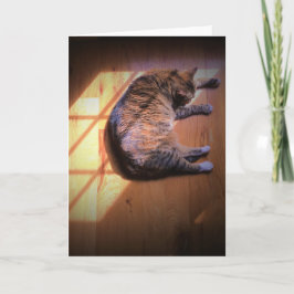 Días lentos, tarjeta