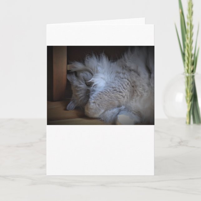 Días lentos, tarjeta (Anverso)