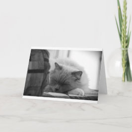 Días lentos, tarjeta