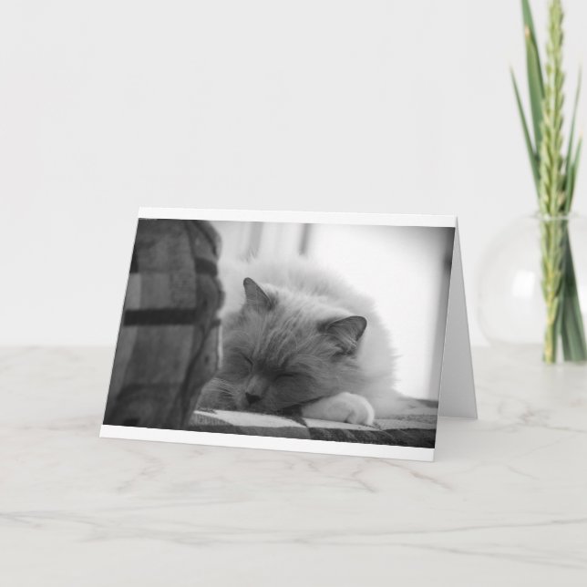 Días lentos, tarjeta (Anverso)