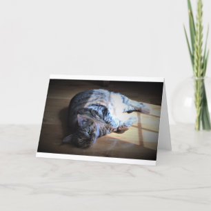 Días lentos, tarjeta