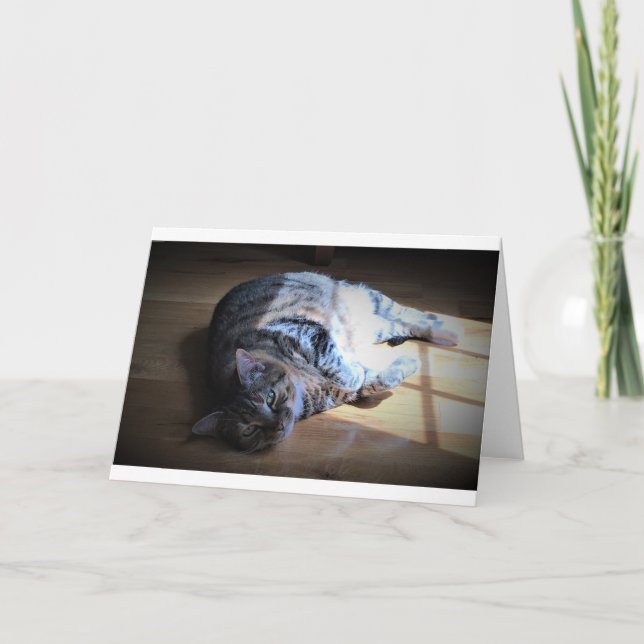 Días lentos, tarjeta (Anverso)