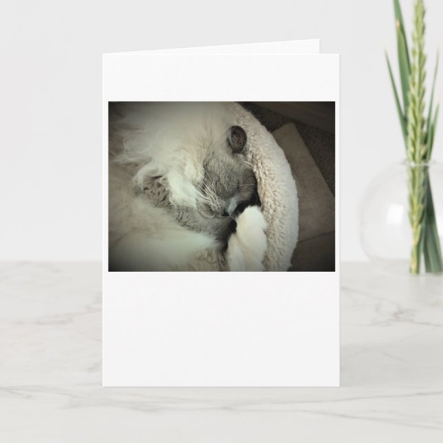 Días lentos, tarjeta (Anverso)