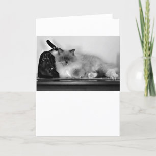 Días lentos, tarjeta