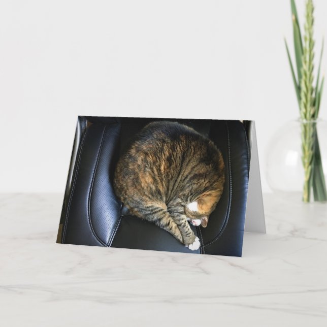 Días lentos, tarjeta (Anverso)