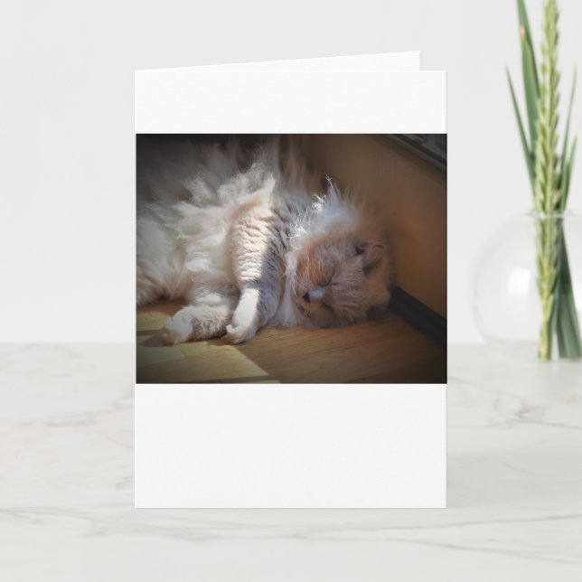 Días lentos, tarjeta (Anverso)