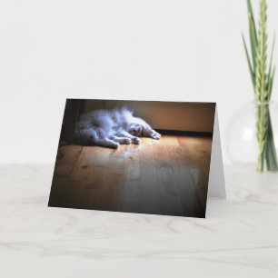 Días lentos, tarjeta