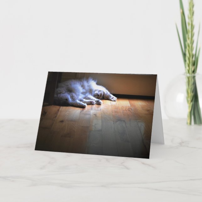 Días lentos, tarjeta (Anverso)