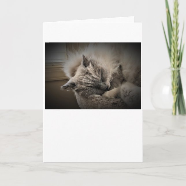 Días lentos, tarjeta (Anverso)