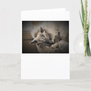 Días lentos, tarjeta