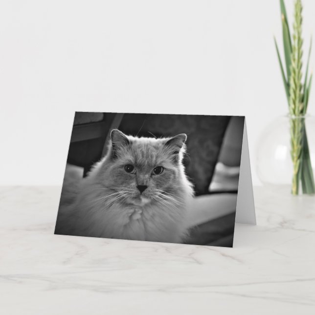 Días lentos, tarjeta (Anverso)