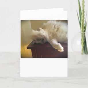 Días lentos, tarjeta