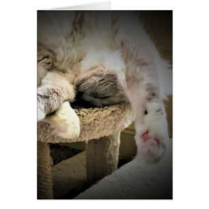 Días lentos, tarjeta