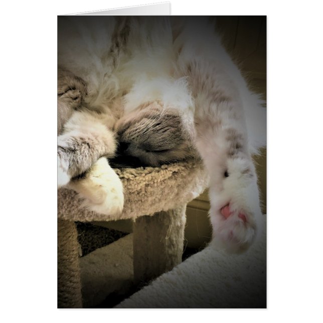 Días lentos, tarjeta (Frente)