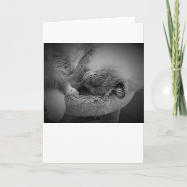 Días lentos, tarjeta (Anverso)