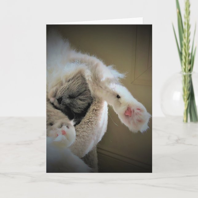 Días lentos, tarjeta (Anverso)