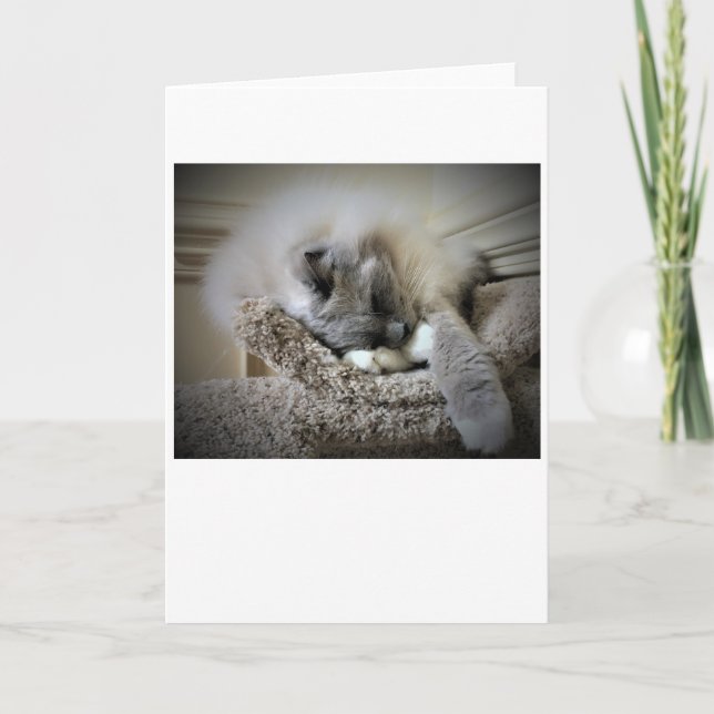 Días lentos, tarjeta (Anverso)