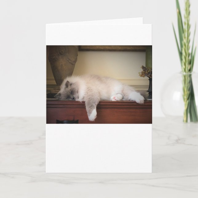 Días lentos, tarjeta (Anverso)