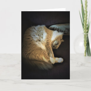 Días lentos, tarjeta