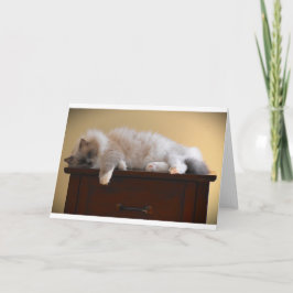 Días lentos, tarjeta