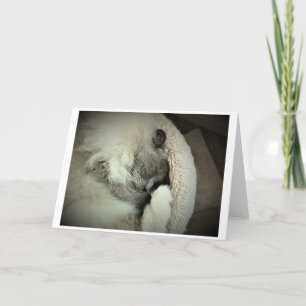 Días lentos, tarjeta