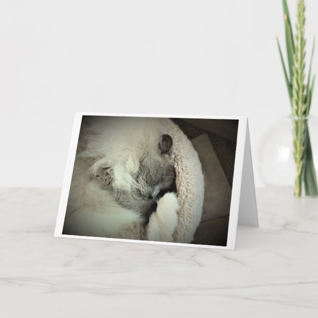 Días lentos, tarjeta (Anverso)