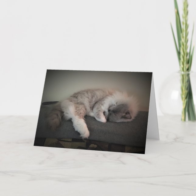 Días lentos, tarjeta (Anverso)