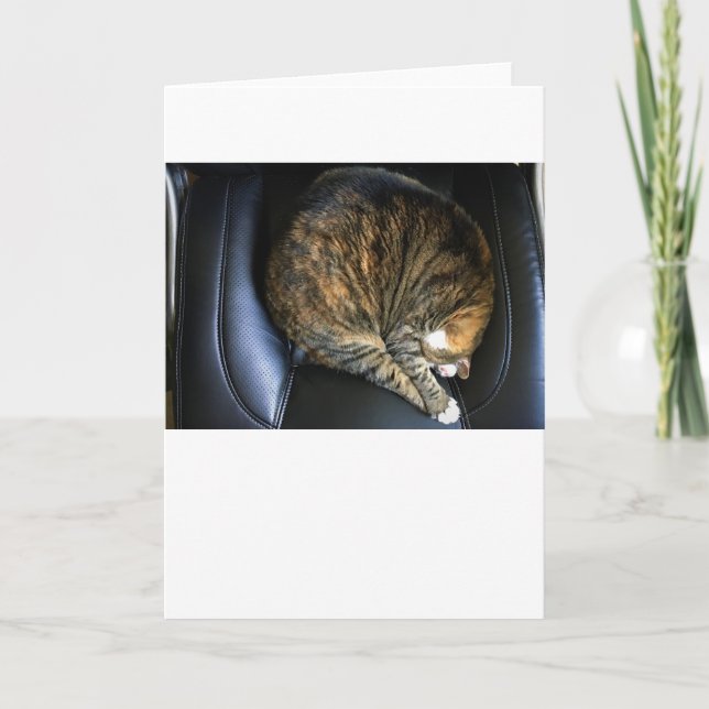 Días lentos, tarjeta (Anverso)