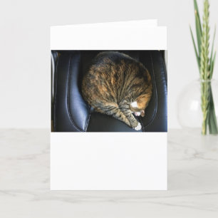 Días lentos, tarjeta