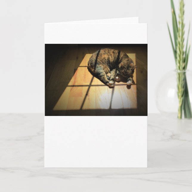 Días lentos, tarjeta (Anverso)