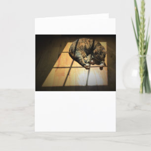 Días lentos, tarjeta