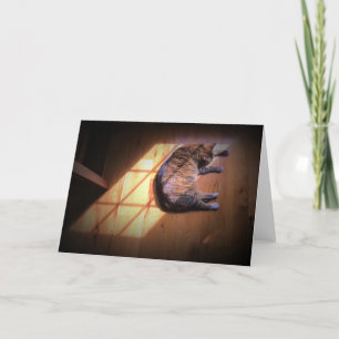 Días lentos, tarjeta