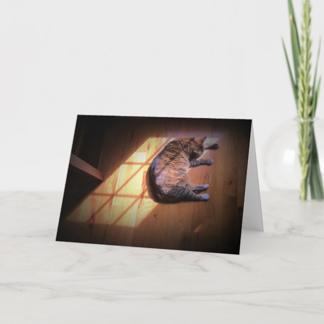 Días lentos, tarjeta (Anverso)