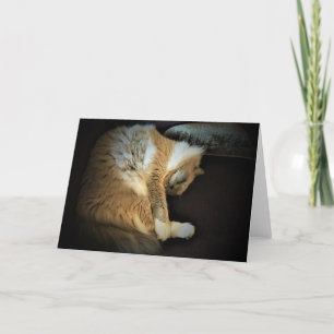 Días lentos, tarjeta