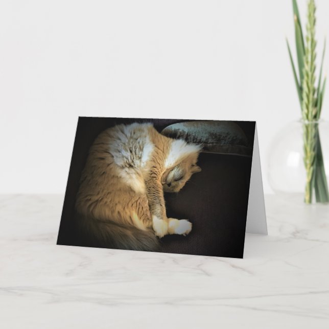 Días lentos, tarjeta (Anverso)