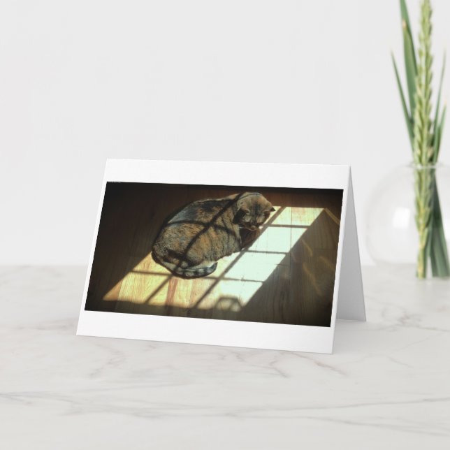 Días lentos, tarjeta (Anverso)