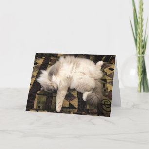 Días lentos, tarjeta