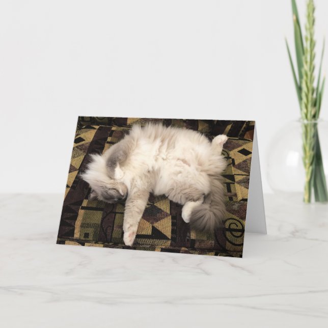 Días lentos, tarjeta (Anverso)