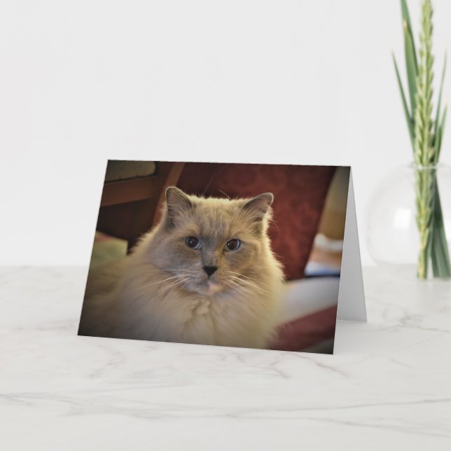 Días lentos, tarjeta (Anverso)