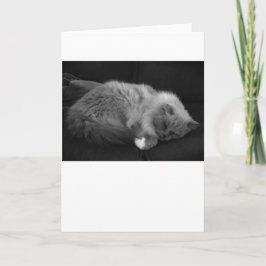 Días lentos, tarjeta