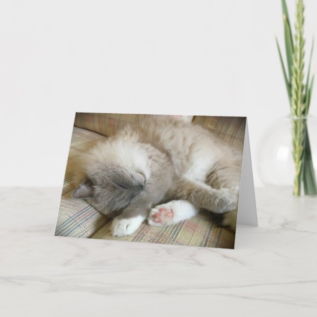 Días lentos, tarjeta (Anverso)