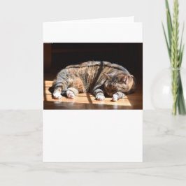 Días lentos, tarjeta