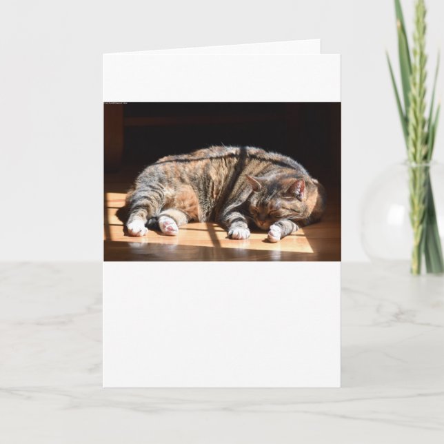 Días lentos, tarjeta (Anverso)