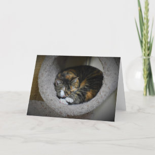 Días lentos, tarjeta