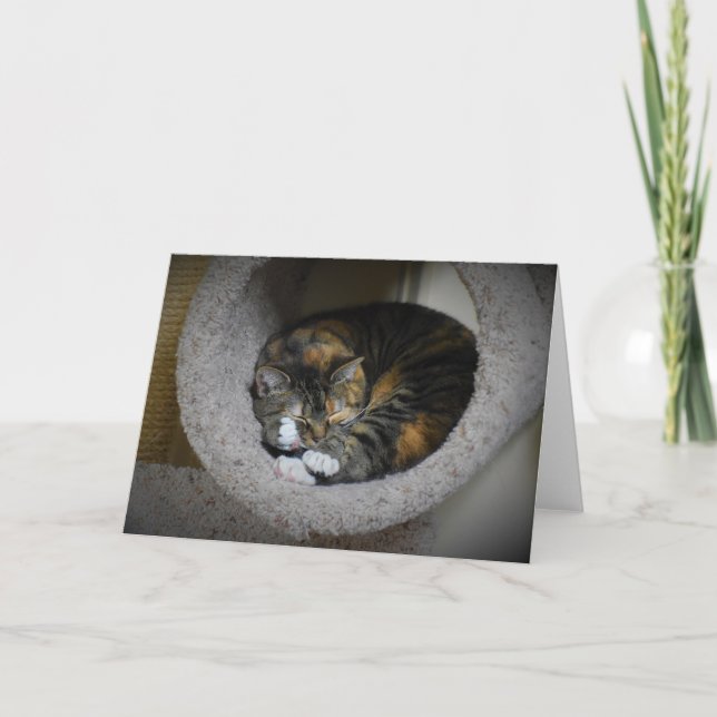 Días lentos, tarjeta (Anverso)