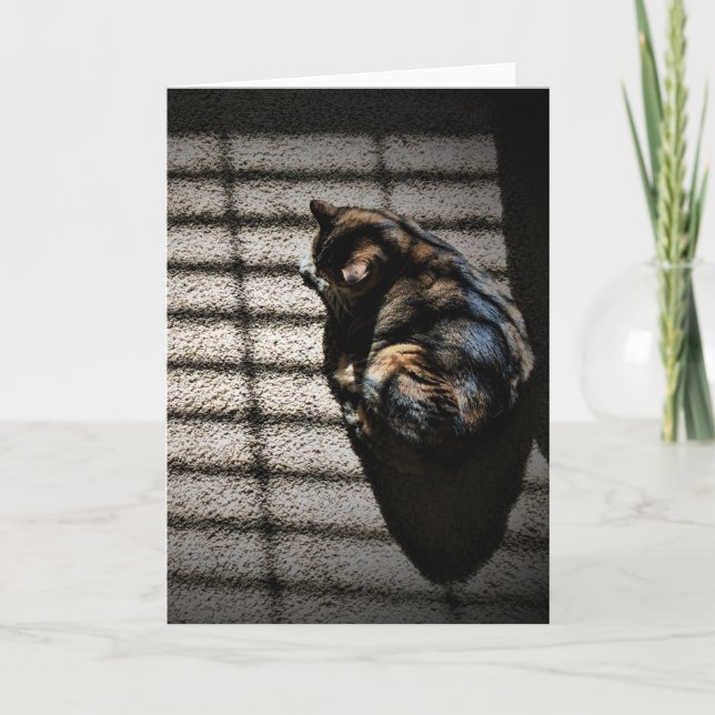 Días lentos, tarjeta (Anverso)