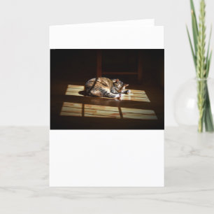 Días lentos, tarjeta