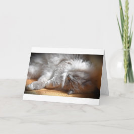 Días lentos, tarjeta