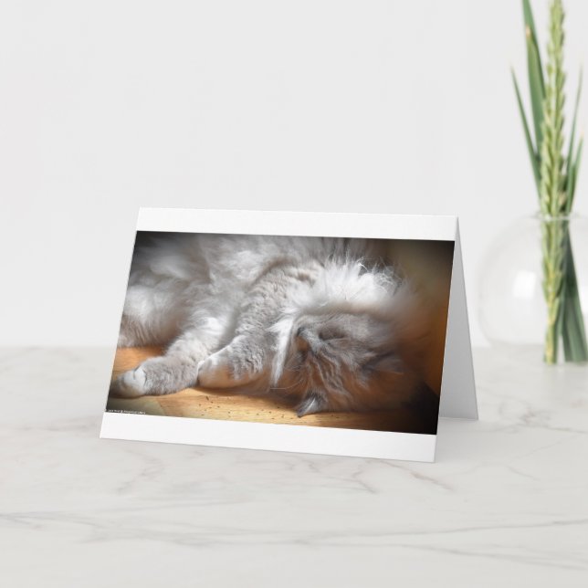 Días lentos, tarjeta (Anverso)