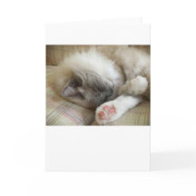 Días lentos, tarjeta